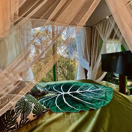 Sequoia Casa Na Arvore, Vila Magica Буэну-Брандан Экстерьер фото