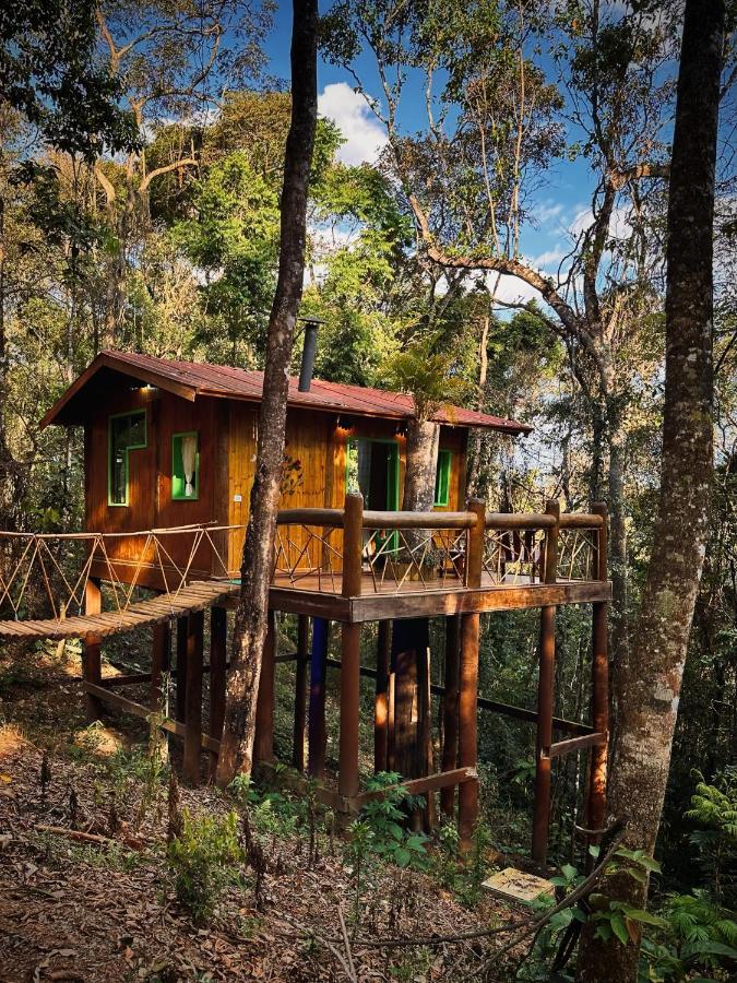 Sequoia Casa Na Arvore, Vila Magica Буэну-Брандан Экстерьер фото